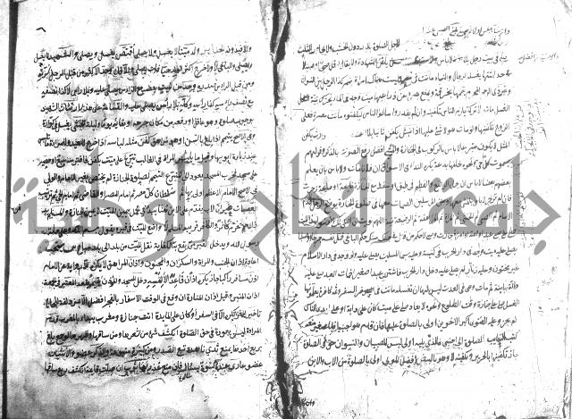 منية الفتى 