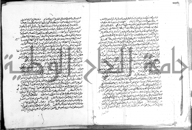 كتاب في اللغة العربية