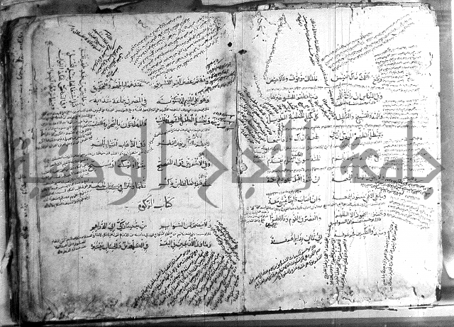 فقة حنفي 