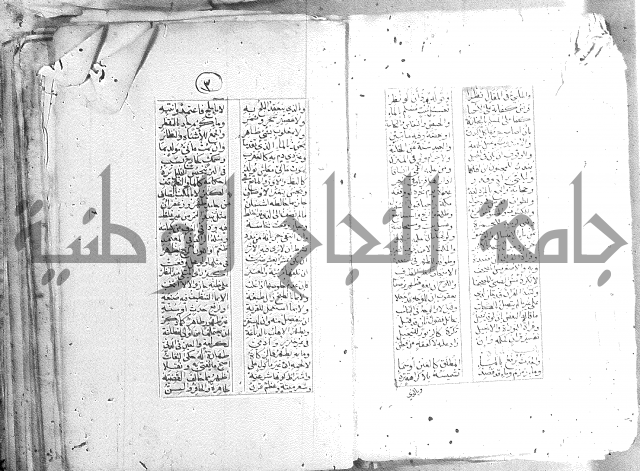 خلاصة التنوير 