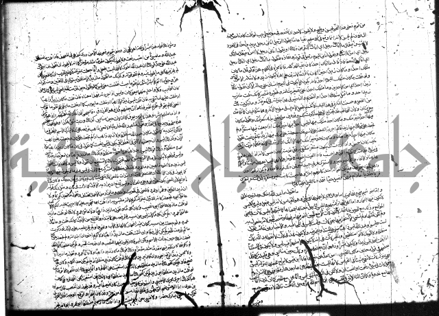 سيبويه 