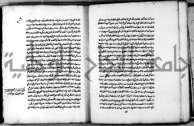 شرح ثلاثيات المسند ج 2 