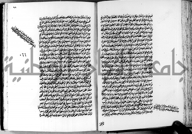 الجواهر الدورية في تنقيح الفتاوى الحامدية ج2 