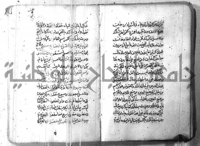 التفنن في الصرف