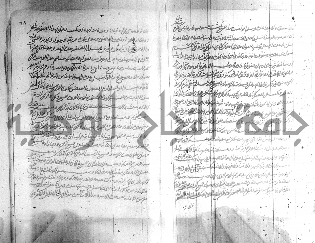 البسيط في الشروط