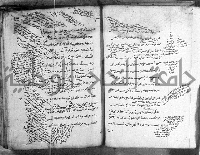 المواشح على الكافية