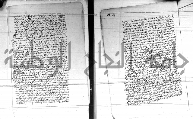 الفتاوى الحسينية