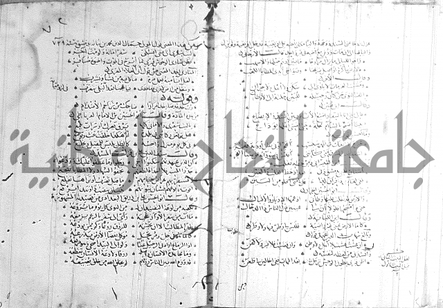 شرح لامية العجم 