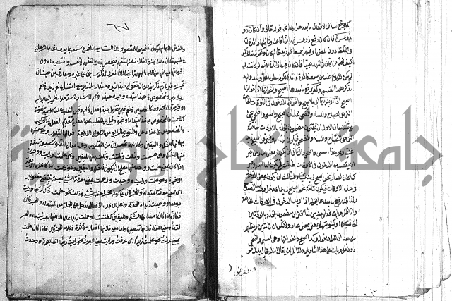 الانتاج المؤلف 