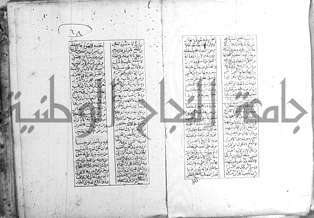 خلاصة التنوير 