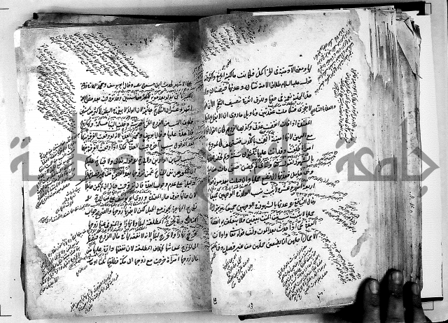 مذهب ابي حنيفة في الفقة
