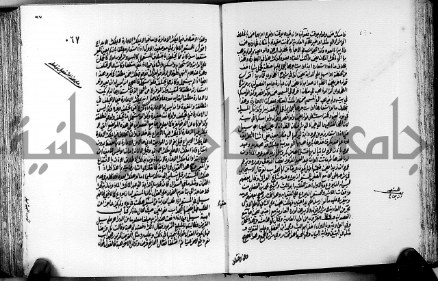 الجواهر الدورية في تنقيح الفتاوى الحامدية ج2 