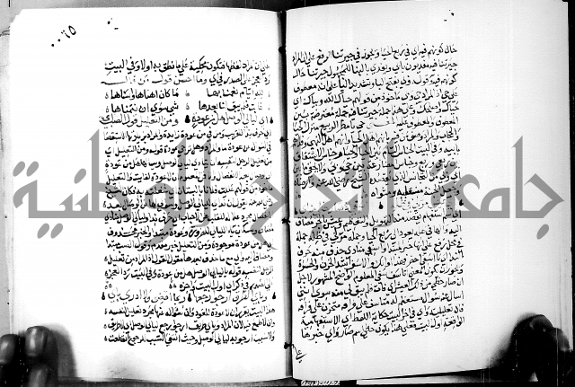 البحر الفائض في شرح ديوان ابن الفارض البوريني 