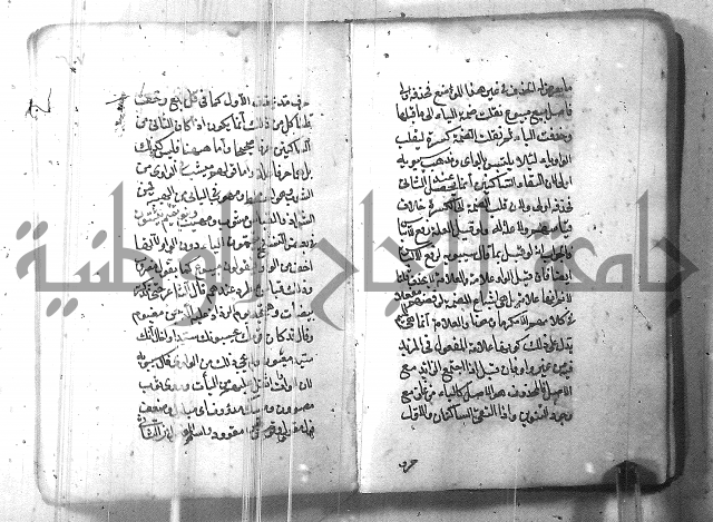 التفنن في الصرف