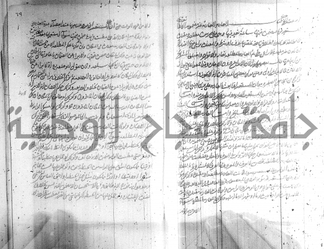 البسيط في الشروط