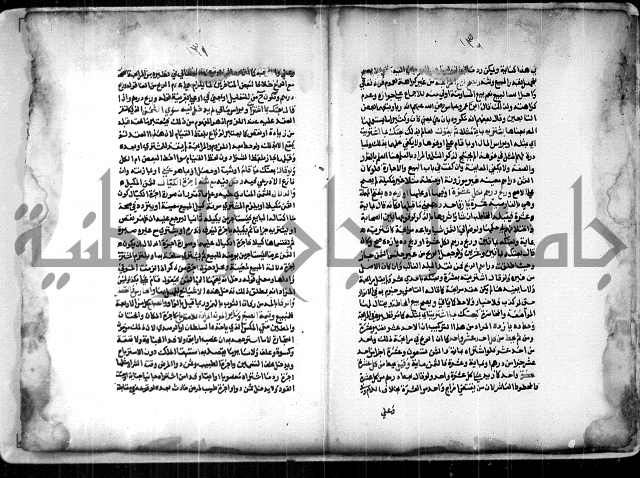  الربع الثاني من شرح الرملي على المنهاج 