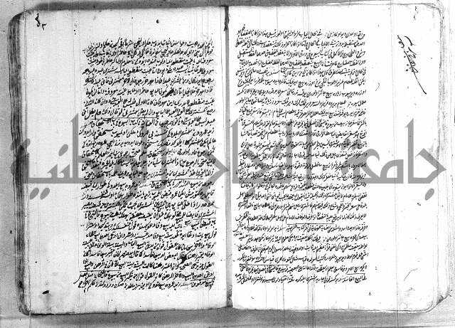 فتاوي تركية