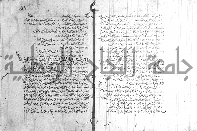 شرح لامية العجم 