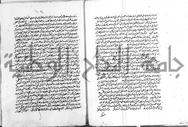 كتاب في اللغة العربية