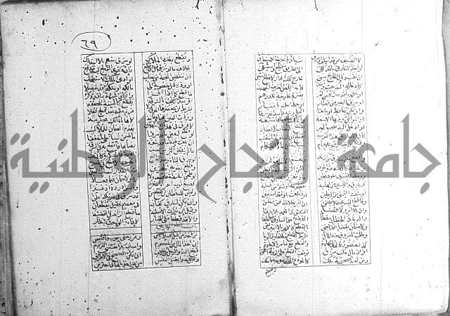 خلاصة التنوير 