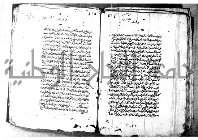 شرح شذور الذهب لابن هشام