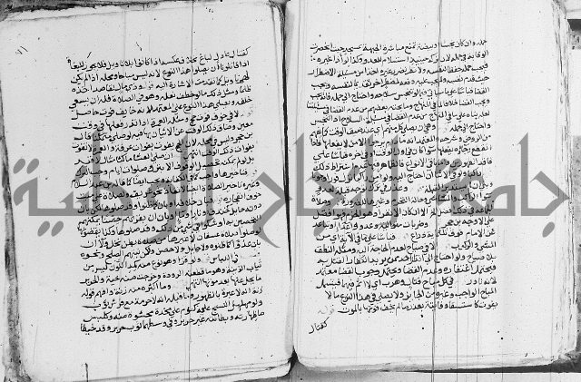 الزيادي على المنهج 