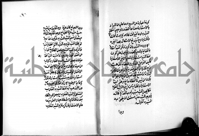 الرسالة البيانية