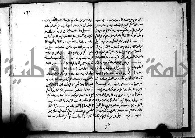 الفتاوى الامينية