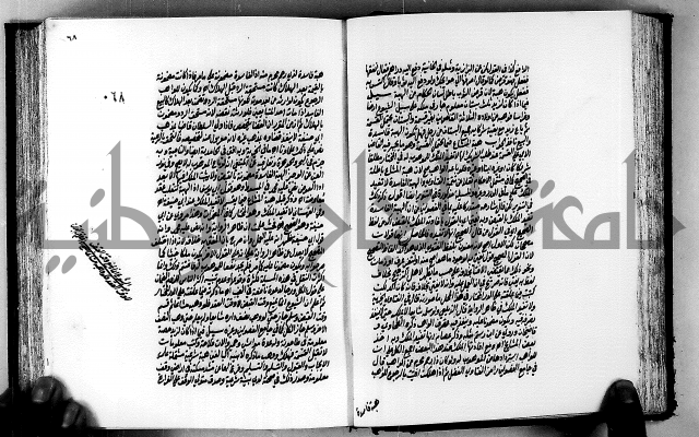 الجواهر الدورية في تنقيح الفتاوى الحامدية ج2 