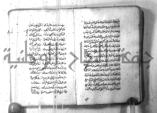 التفنن في الصرف