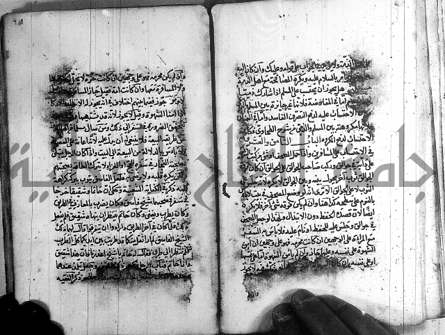 رسالة في الاحتساب
