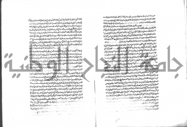 شرح الرملي 3