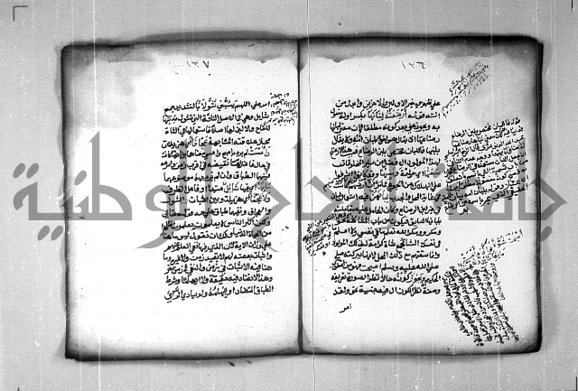 شرح الهمزية  