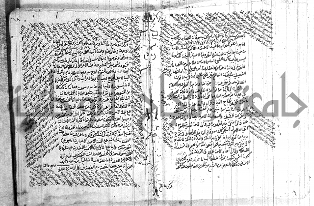 نخبة الفكر  