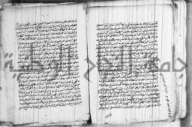 المجالس السنية