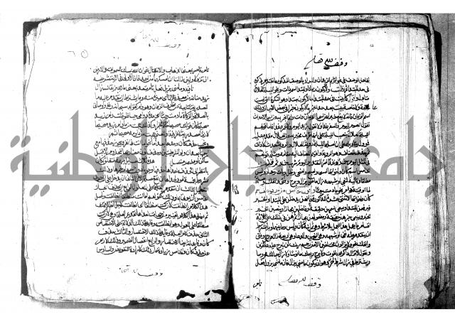 شرح شذور الذهب لابن هشام