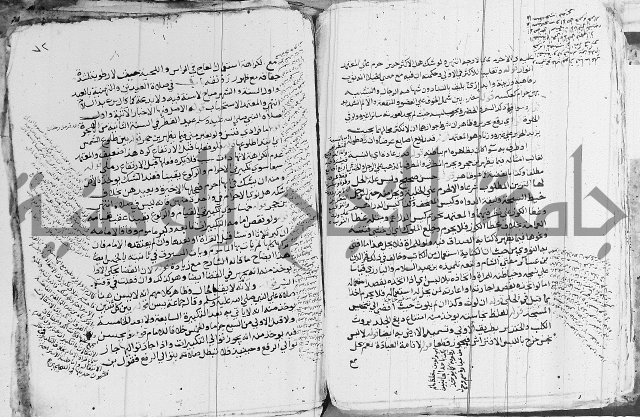 الزيادي على المنهج 