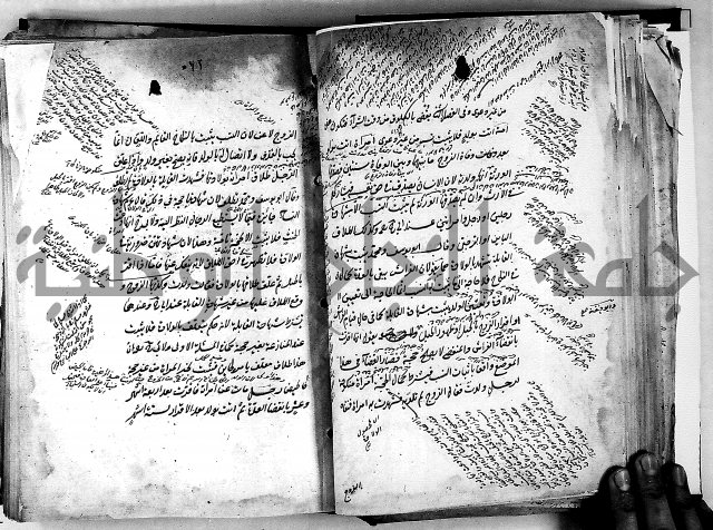 مذهب ابي حنيفة في الفقة