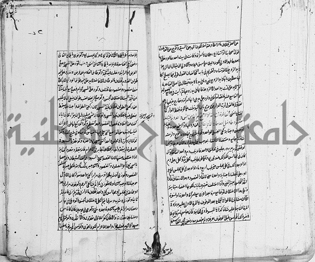 الاشباه والنظائر