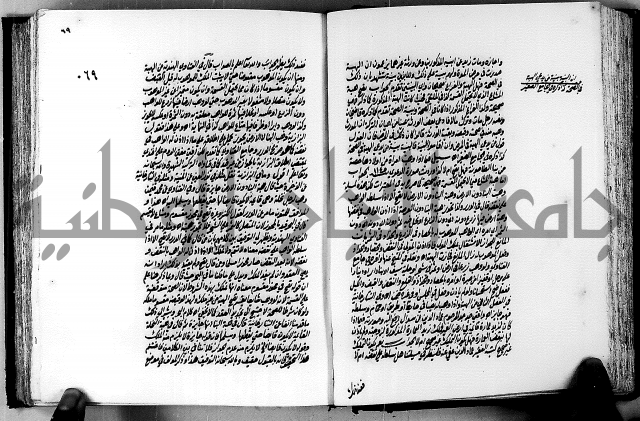 الجواهر الدورية في تنقيح الفتاوى الحامدية ج2 