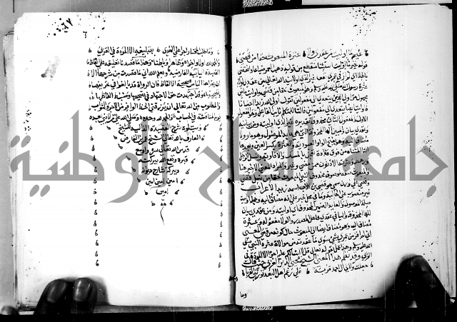 البحر الفائض في شرح ديوان ابن الفارض البوريني 