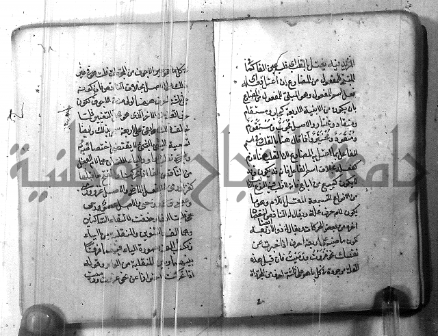 التفنن في الصرف