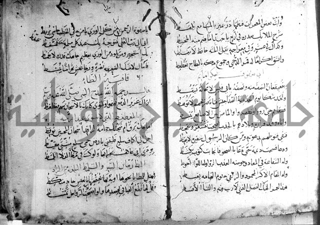 ديوان الصرصري