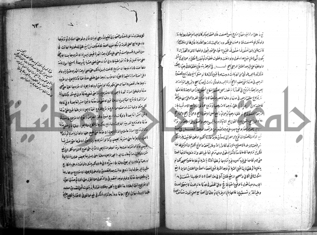 حاوي مسايل المنيه