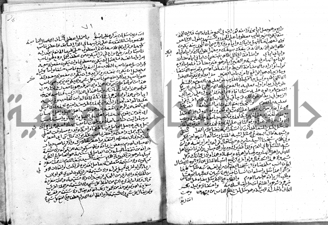 كتاب في اللغة العربية