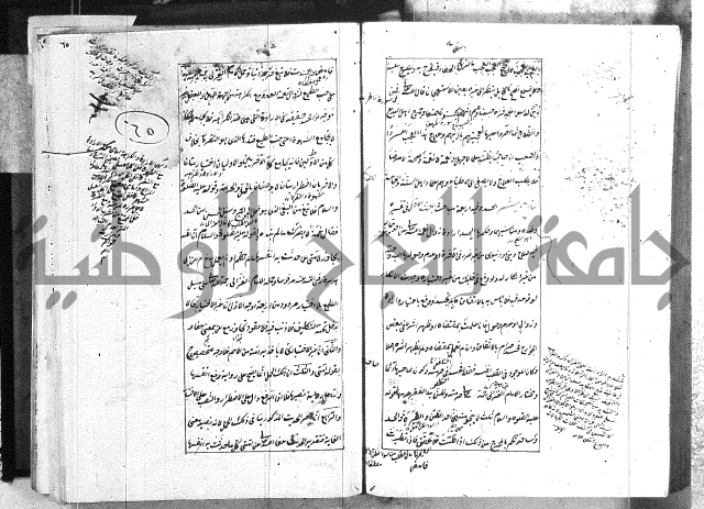 الطريقة المحمدية