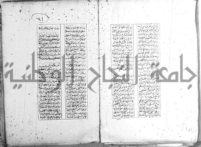 خلاصة التنوير 