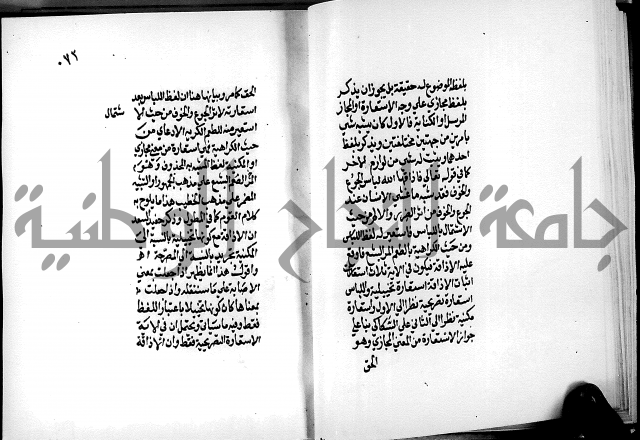 الرسالة البيانية