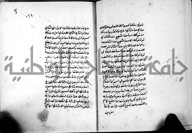 شرح شذور الذهب في معرفة كلام العرب 