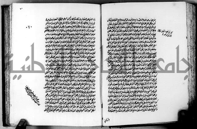 الجواهر الدورية في تنقيح الفتاوى الحامدية ج2 